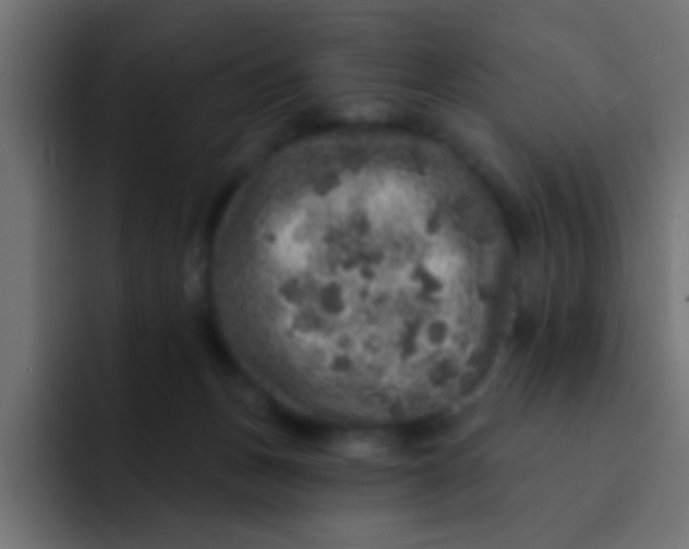 X0000092080175200710031143