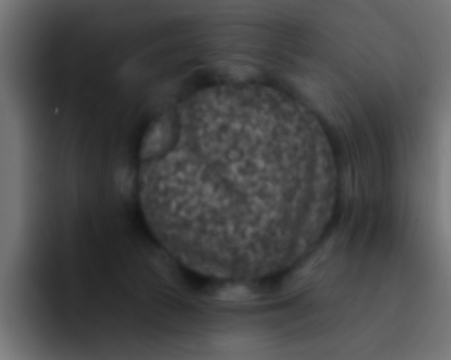 X0000092080177200710031143