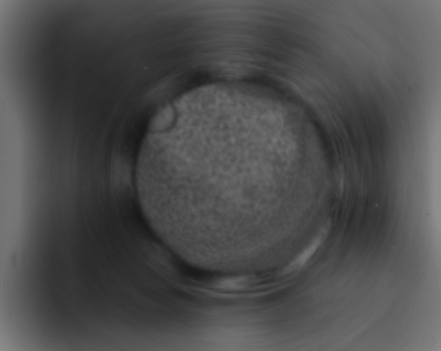 X0000092080178200710031143