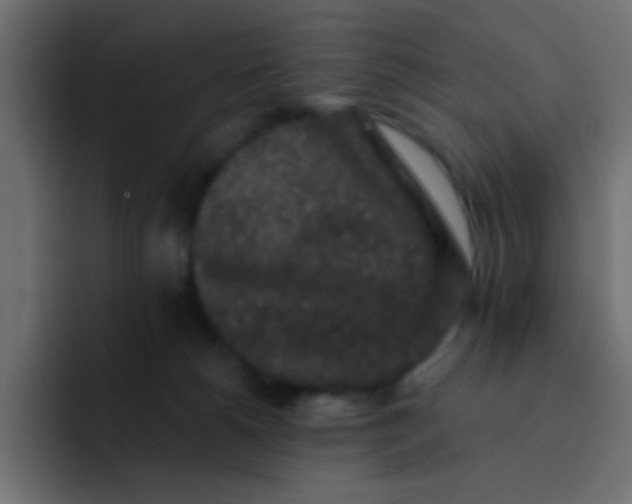 X0000092080180200710031143