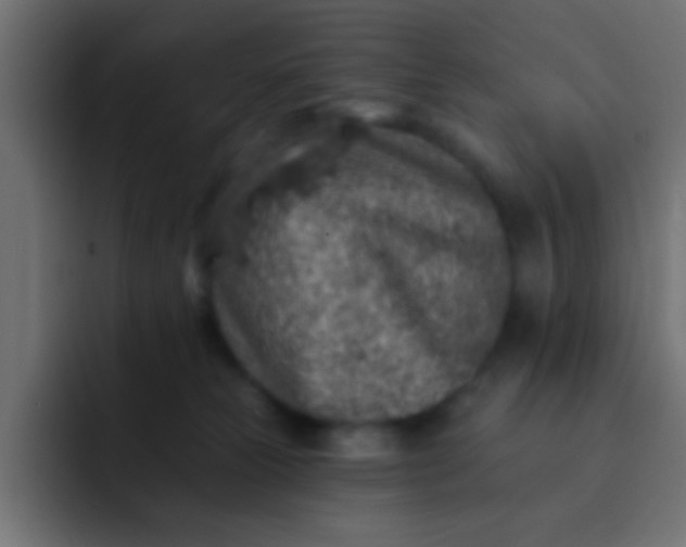 X0000092080181200710031143