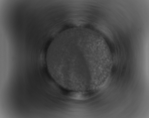 X0000092080182200710031143