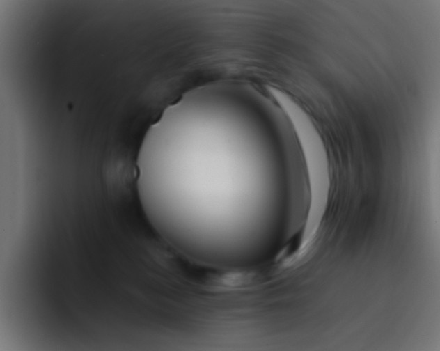 X0000092080184200710031143