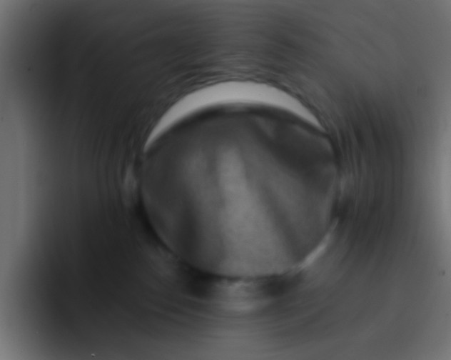 X0000092080186200710031143