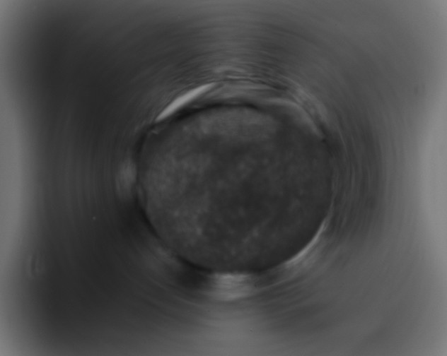 X0000092080192200710031143