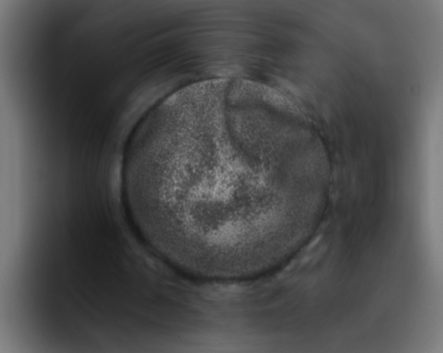 X0000092080194200710031142