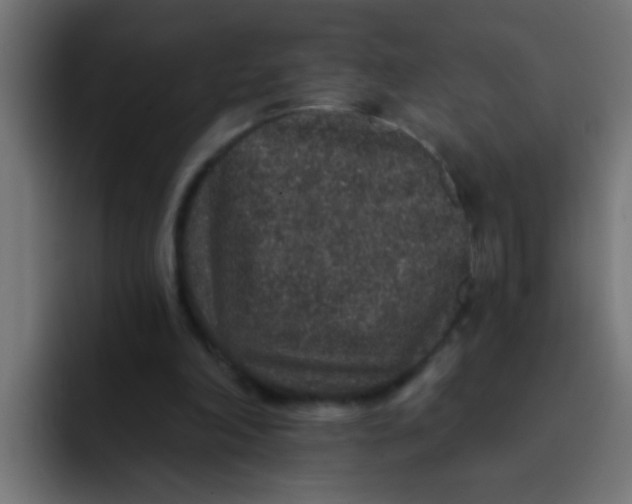 X0000092080198200710031142