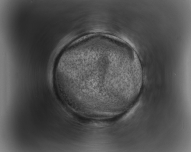 X0000092080199200710031142