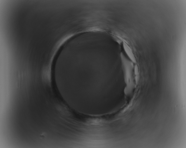 X0000092080200200710031142