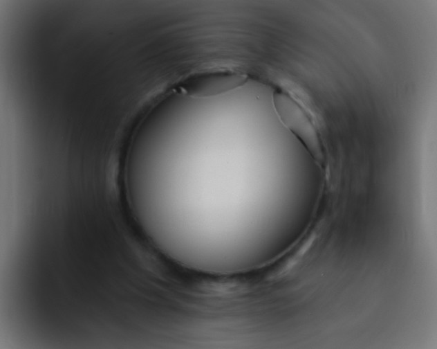 X0000092080201200710031142