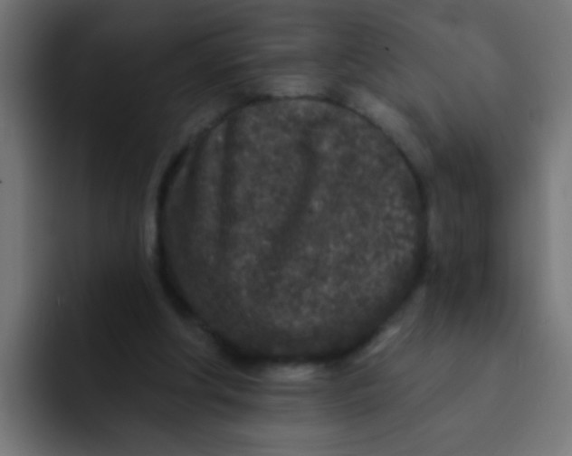 X0000092080202200710031142