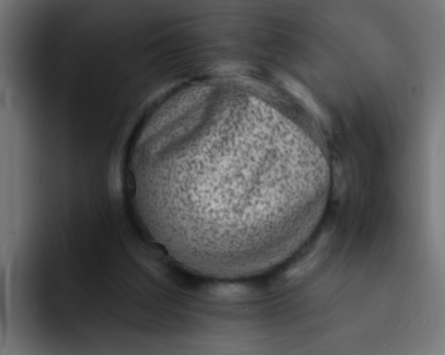 X0000092080203200710031142