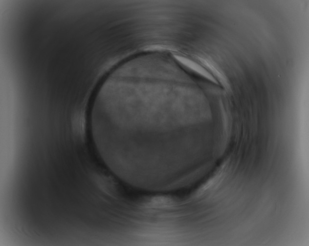 X0000092080204200710031142