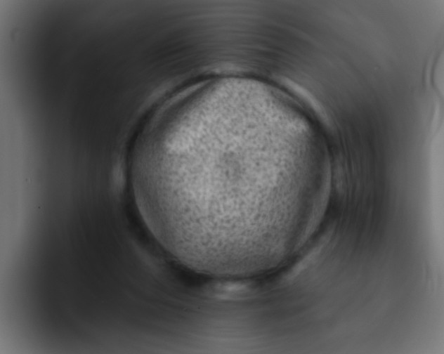 X0000092080208200710031142