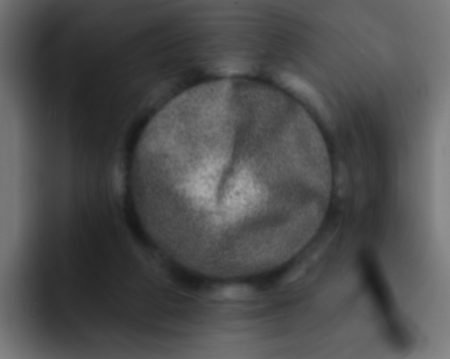 X0000092080210200710031142