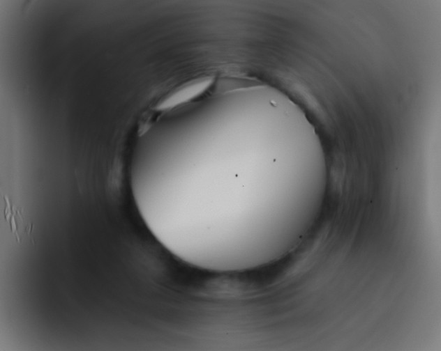 X0000092080211200710031142