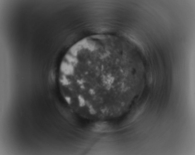 X0000092080214200710031142