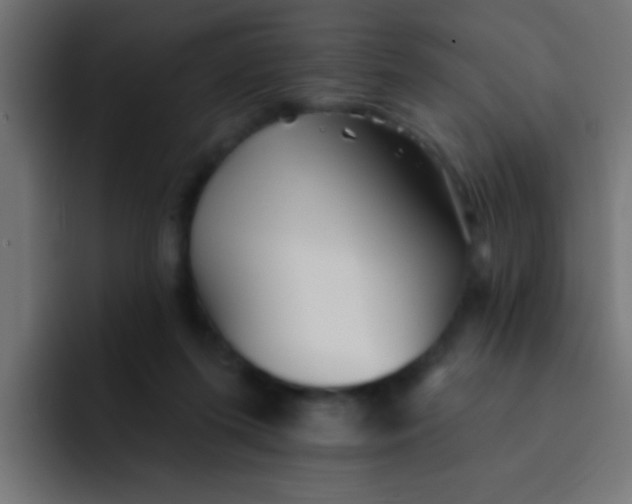 X0000092080215200710031142