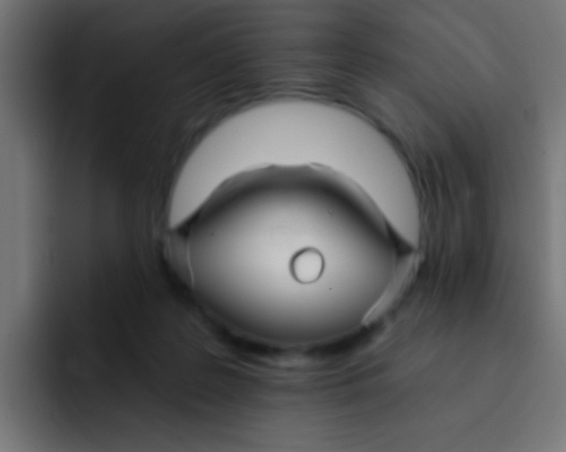 X0000092080219200710031142