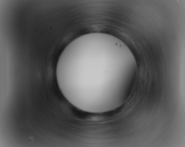 X0000092080220200710031142