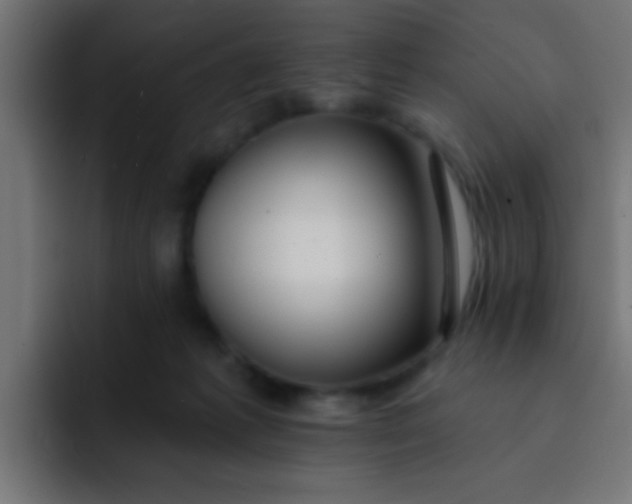 X0000092080221200710031142