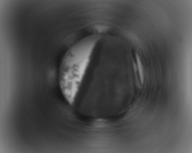 X0000092080222200710031142