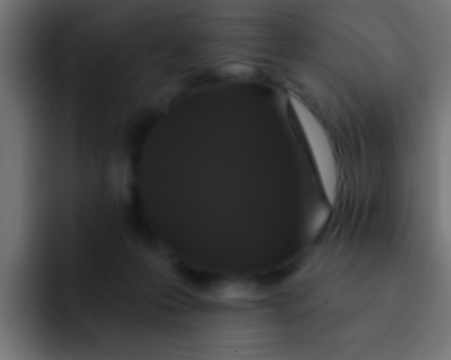 X0000092080223200710031142