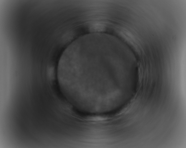 X0000092080224200710031142