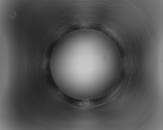 X0000092080225200710031142