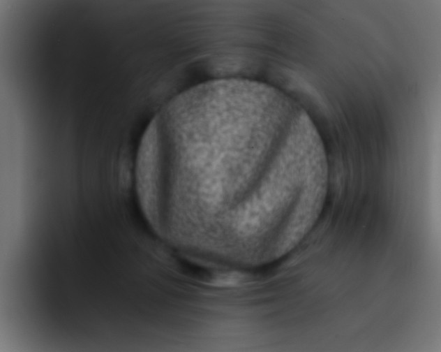 X0000092080226200710031142