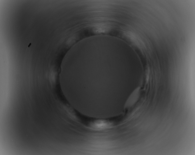 X0000092080227200710031142