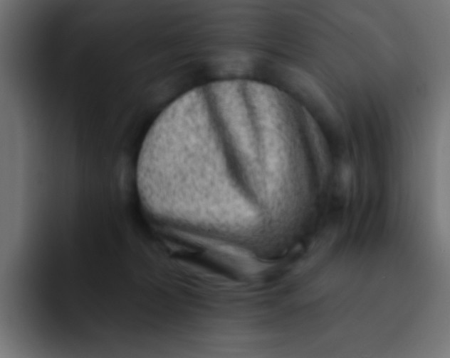 X0000092080228200710031142