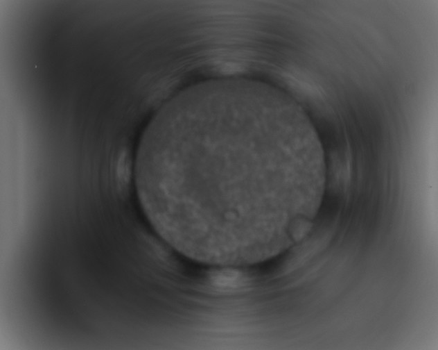 X0000092080230200710031142