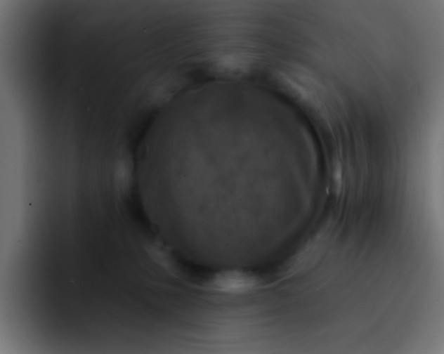 X0000092080231200710031142