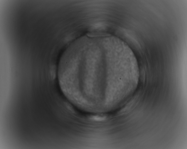 X0000092080232200710031142