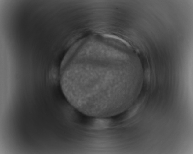 X0000092080234200710031142