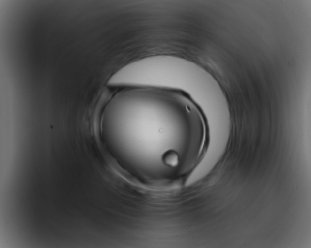 X0000092080237200710031142