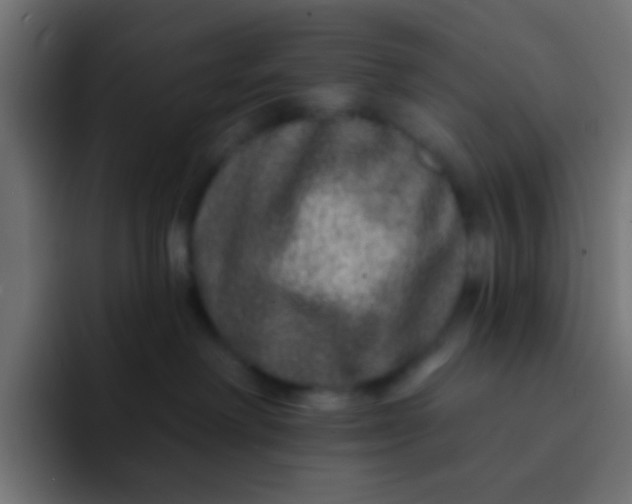 X0000092080238200710031142