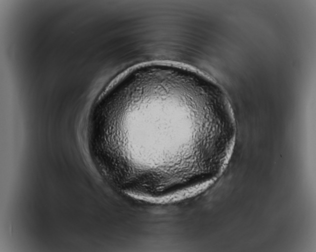 X0000092080241200710031141