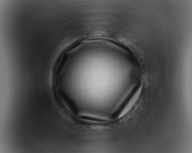 X0000092080242200710031141