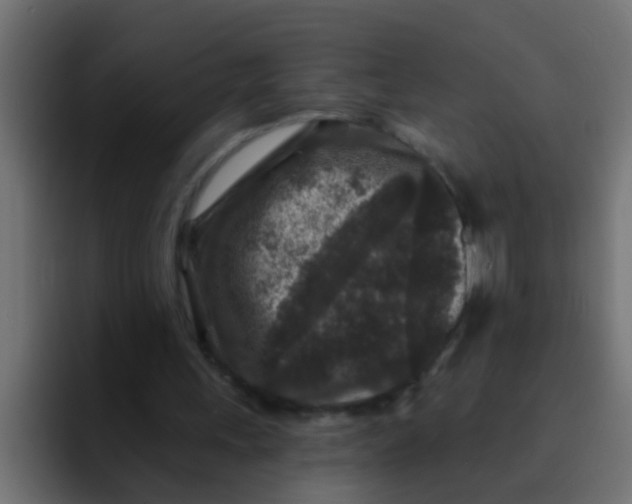 X0000092080243200710031141