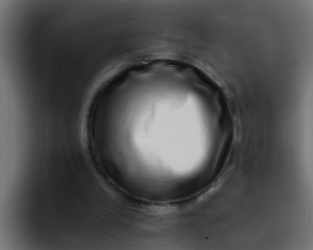 X0000092080245200710031141