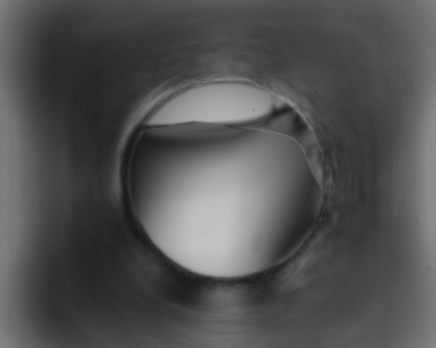 X0000092080248200710031141