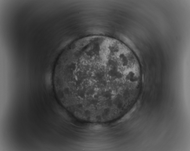 X0000092080249200710031141