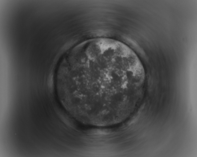 X0000092080250200710031141