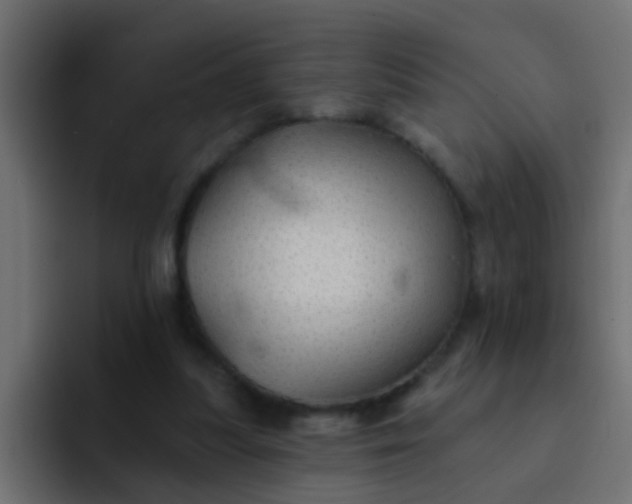 X0000092080251200710031141