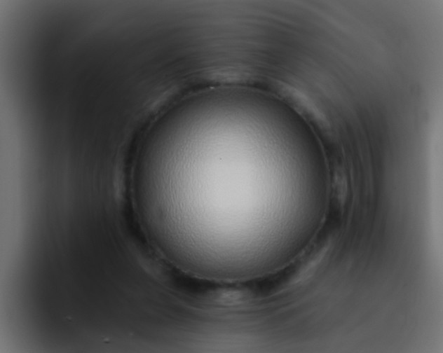 X0000092080255200710031141