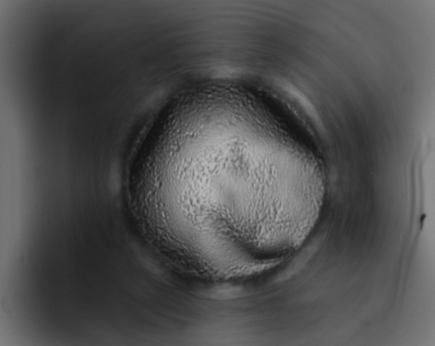 X0000092080257200710031141