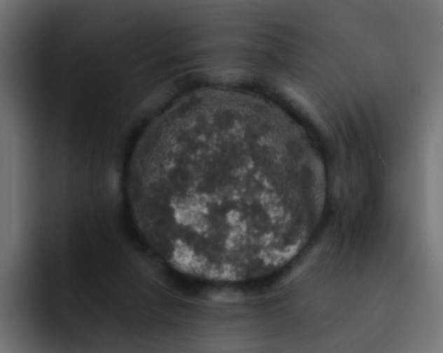 X0000092080258200710031141