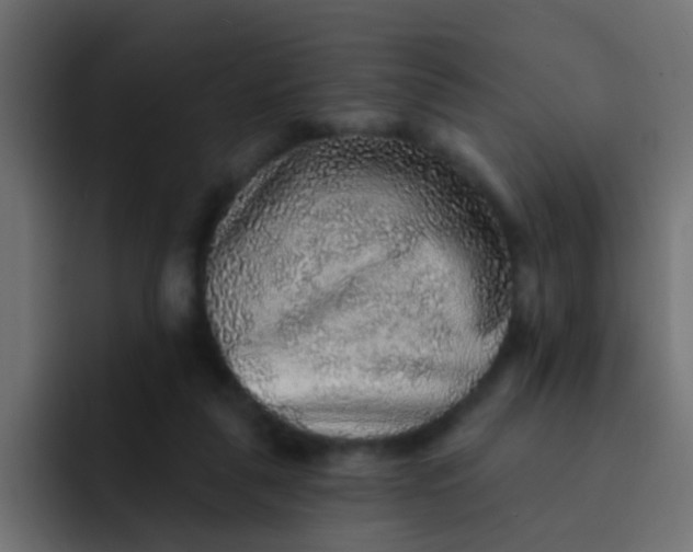 X0000092080259200710031141